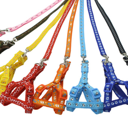 Arnes perro colores 1.5cm - Mascota Club Chile