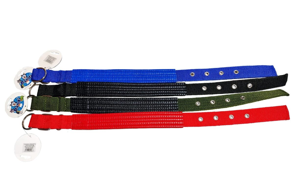 Collar lona 3.0 acolchado para perros dandi 488 - Mascota Club Chile
