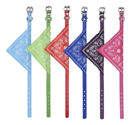 Set collar pañuelo 12pcs - Mascota Club Chile