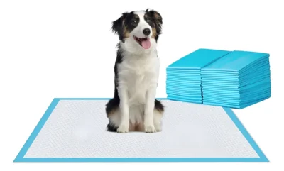 Sabanilla de entrenamiento desechables dandi 60x60 cm 30 un - Mascota Club Chile