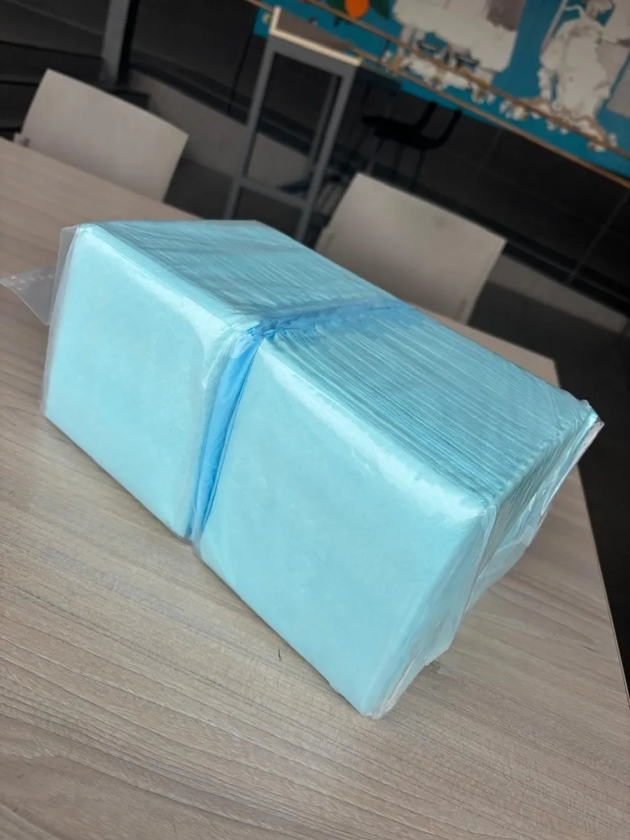 D_NQ_NP_2X_845095-MLC88024889422_072025-F Sabanilla de entrenamiento desechables dandi 60*60cm 50 un
