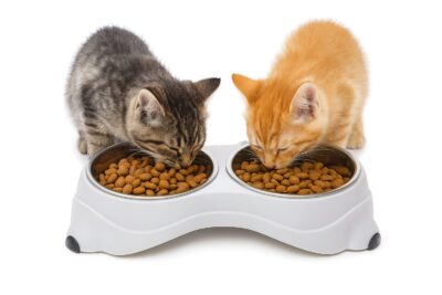 Plato comedero doble con platos de acero 32x16x8cm.2473 - Mascota Club Chile