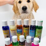 Shampoo iray surtido perro 300ml. - Mascota Club Chile