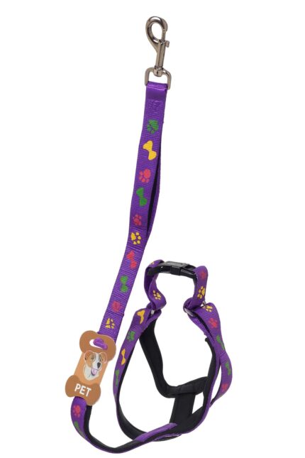 Arnes fluor acolchado con diseño 2.5 l 909-2 - Mascota Club Chile