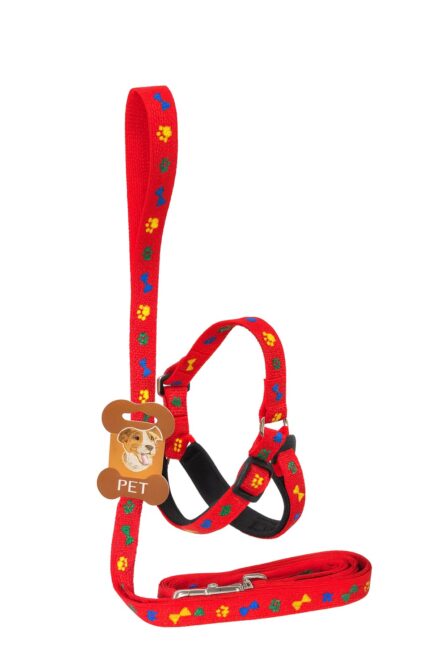 Arnes 2.5cm, con diseño para - Mascota Club Chile