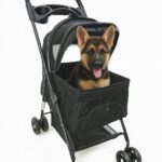 Coche para mascota 2561 2560 - Mascota Club Chile