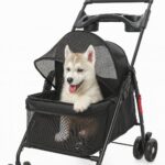Coche para mascota 2562 - Mascota Club Chile