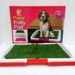 Baño sanitario pequeño puppy potty pad 578 - Mascota Club Chile
