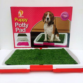 Baño sanitario pequeño puppy potty pad 578 - Mascota Club Chile