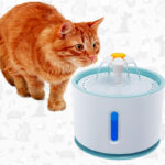 Fuente agua flor para perro y gato mas set filtro - Mascota Club Chile