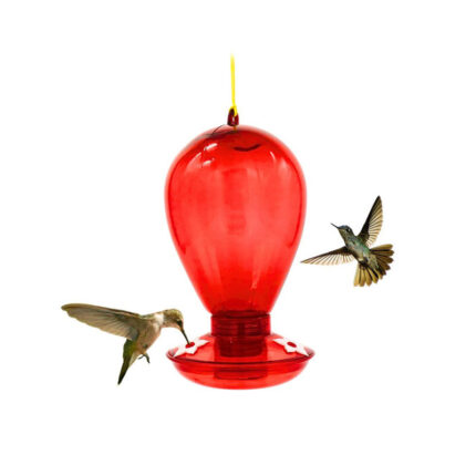Bebedero pequeño especial para colibri dandi 509 - Mascota Club Chile