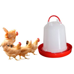 Bebedero de pollo - Mascota Club Chile