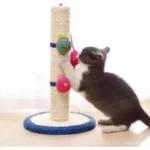 Home - La tienda online de mascotas.