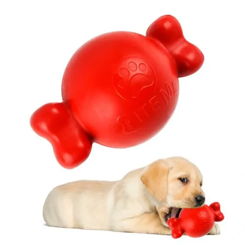 Home - La tienda online de mascotas.