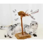 Home - La tienda online de mascotas.