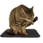 Alfombrilla rascadora para gatos 45X60 - Mascota Club Chile