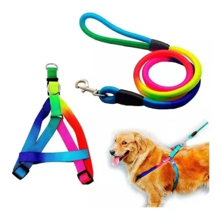 Arnes para perro Fluor 0.8CM - Mascota Club Chile