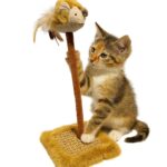 Rascador Scratch&Play Deluxe – Entretenimiento y Afilado - Mascota Club Chile