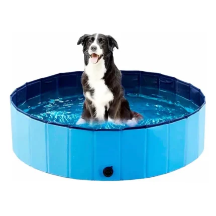 Piscina para mascotas redonda 120x30cm - Mascota Club Chile