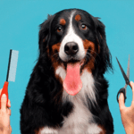 Home - La tienda online de mascotas.