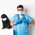 Home - La tienda online de mascotas.