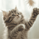 Home - La tienda online de mascotas.