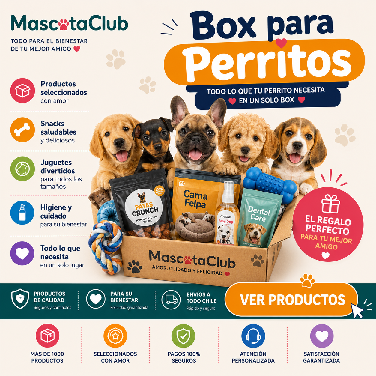 box perro