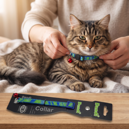 Collar gato dandi 1cm para gatos con mascota usando el producto