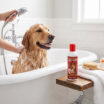 Dorazel plus shampoo ml d.p para perros con mascota usando el producto